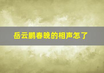 岳云鹏春晚的相声怎了