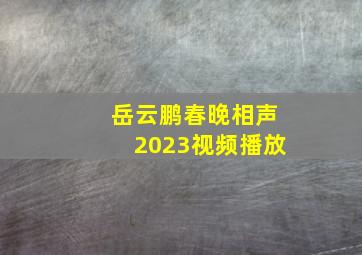 岳云鹏春晚相声2023视频播放