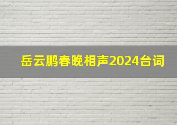 岳云鹏春晚相声2024台词