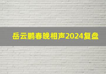 岳云鹏春晚相声2024复盘