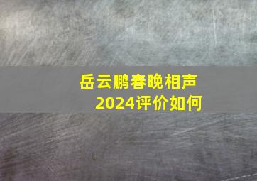 岳云鹏春晚相声2024评价如何