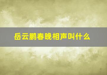 岳云鹏春晚相声叫什么