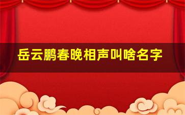 岳云鹏春晚相声叫啥名字