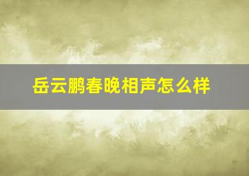 岳云鹏春晚相声怎么样