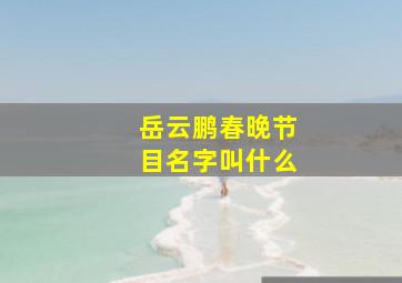 岳云鹏春晚节目名字叫什么