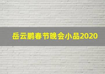 岳云鹏春节晚会小品2020