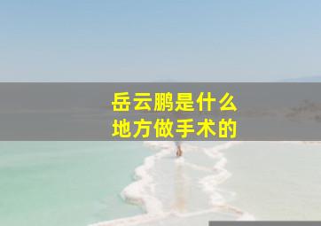 岳云鹏是什么地方做手术的