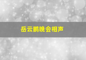 岳云鹏晚会相声