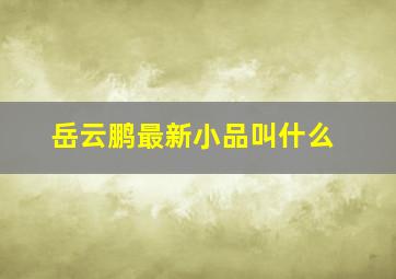 岳云鹏最新小品叫什么