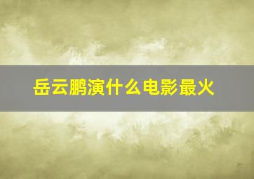 岳云鹏演什么电影最火