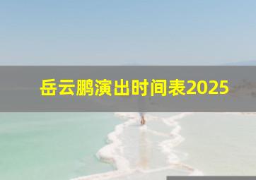 岳云鹏演出时间表2025