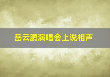 岳云鹏演唱会上说相声