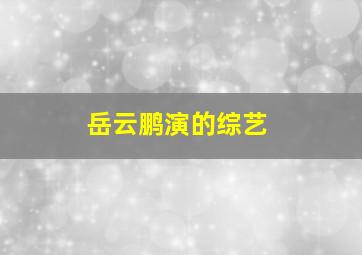 岳云鹏演的综艺