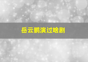 岳云鹏演过啥剧