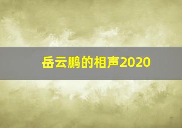 岳云鹏的相声2020