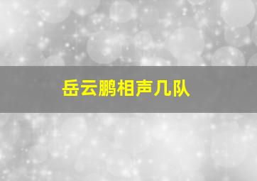 岳云鹏相声几队