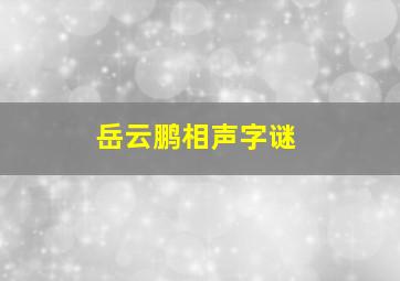 岳云鹏相声字谜