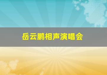 岳云鹏相声演唱会