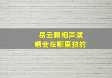 岳云鹏相声演唱会在哪里拍的