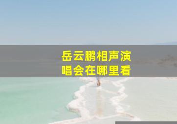 岳云鹏相声演唱会在哪里看