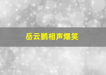 岳云鹏相声爆笑