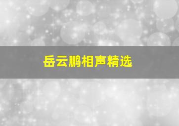 岳云鹏相声精选