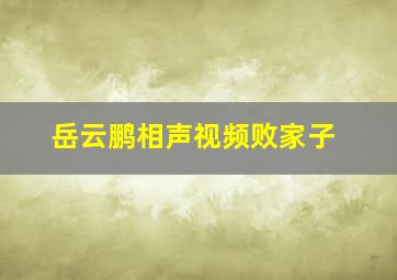 岳云鹏相声视频败家子