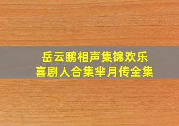 岳云鹏相声集锦欢乐喜剧人合集芈月传全集