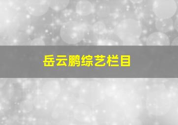 岳云鹏综艺栏目