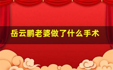 岳云鹏老婆做了什么手术