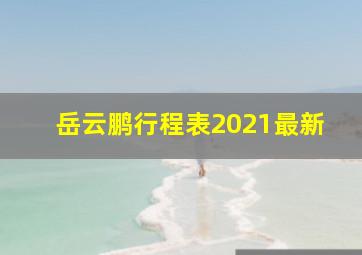 岳云鹏行程表2021最新