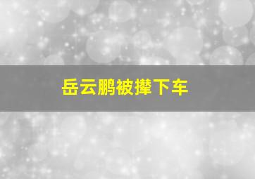 岳云鹏被撵下车