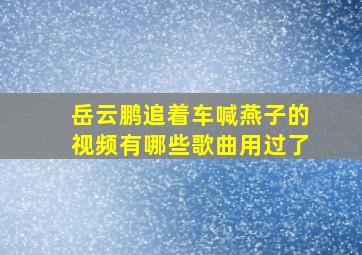 岳云鹏追着车喊燕子的视频有哪些歌曲用过了