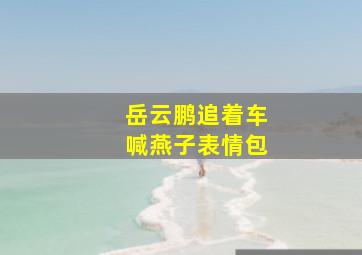 岳云鹏追着车喊燕子表情包