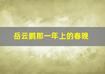 岳云鹏那一年上的春晚