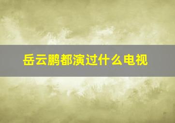 岳云鹏都演过什么电视