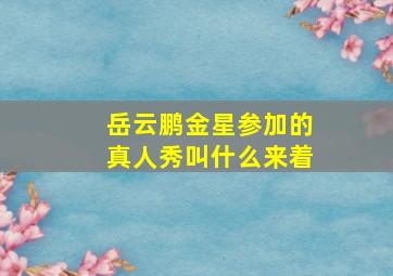 岳云鹏金星参加的真人秀叫什么来着