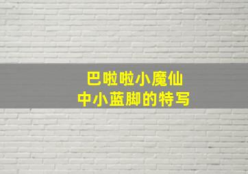 巴啦啦小魔仙中小蓝脚的特写