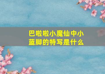 巴啦啦小魔仙中小蓝脚的特写是什么