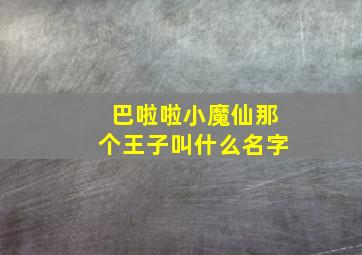 巴啦啦小魔仙那个王子叫什么名字