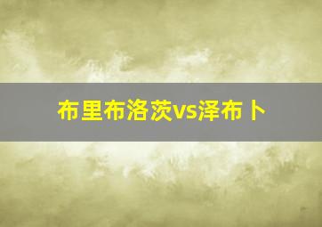 布里布洛茨vs泽布卜