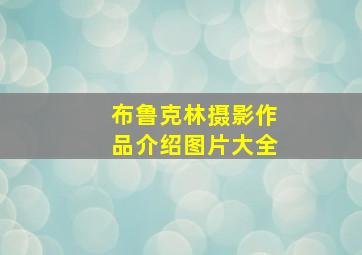 布鲁克林摄影作品介绍图片大全