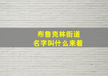 布鲁克林街道名字叫什么来着