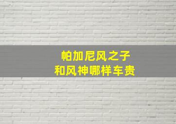 帕加尼风之子和风神哪样车贵