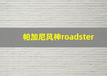 帕加尼风神roadster