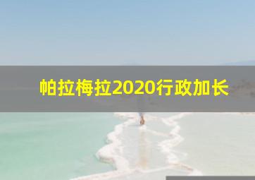 帕拉梅拉2020行政加长