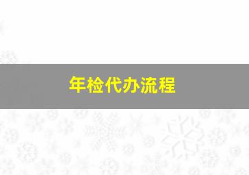 年检代办流程