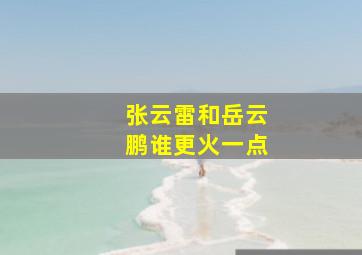 张云雷和岳云鹏谁更火一点