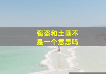 强盗和土匪不是一个意思吗