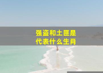 强盗和土匪是代表什么生肖